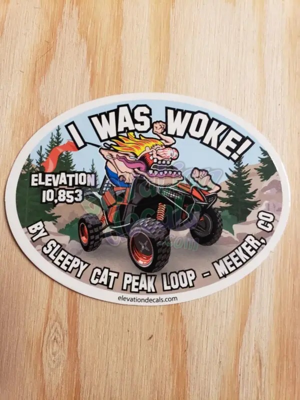 I Was Woke Sticker -Meeker